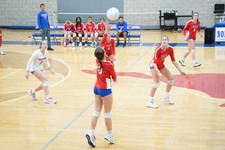 Enlarge photo 315