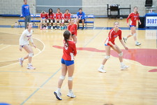 Enlarge photo 316