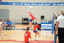 Enlarge photo 321
