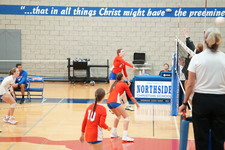 Enlarge photo 323
