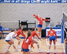 Enlarge photo 330