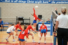 Enlarge photo 332