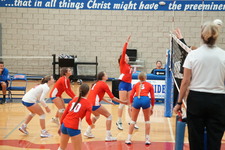 Enlarge photo 335