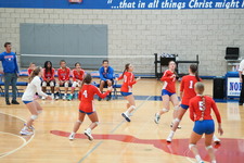Enlarge photo 346