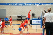 Enlarge photo 354