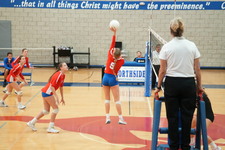 Enlarge photo 362