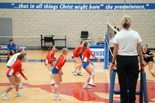 Enlarge photo 375