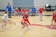 Enlarge photo 385