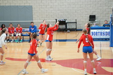 Enlarge photo 393