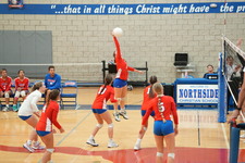Enlarge photo 396