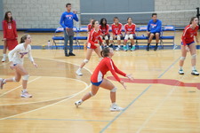 Enlarge photo 402