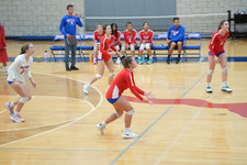 Enlarge photo 403
