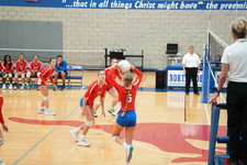 Enlarge photo 415