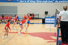 Enlarge photo 437