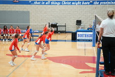 Enlarge photo 438