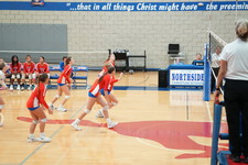 Enlarge photo 439