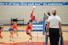 Enlarge photo 442