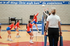 Enlarge photo 443