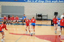 Enlarge photo 461