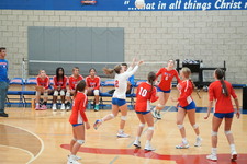 Enlarge photo 463