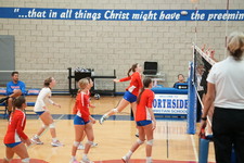 Enlarge photo 469