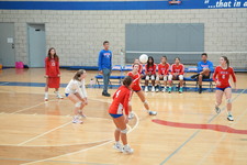 Enlarge photo 470