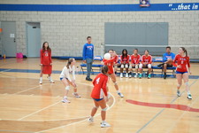 Enlarge photo 471