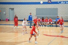 Enlarge photo 473