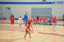 Enlarge photo 475