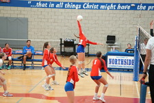 Enlarge photo 503
