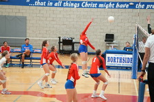 Enlarge photo 504
