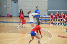 Enlarge photo 519