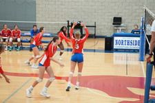 Enlarge photo 527