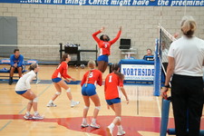 Enlarge photo 529