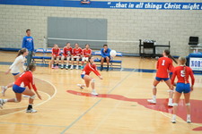 Enlarge photo 540
