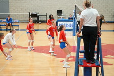 Enlarge photo 553