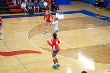 Enlarge photo 172