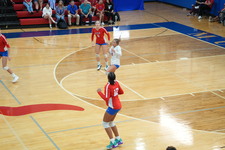 Enlarge photo 174
