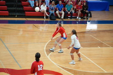 Enlarge photo 222