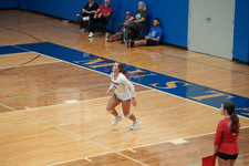 Enlarge photo 247