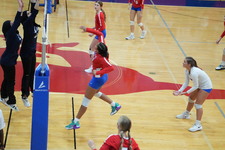 Enlarge photo 317