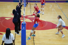 Enlarge photo 338