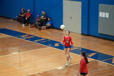 Enlarge photo 399