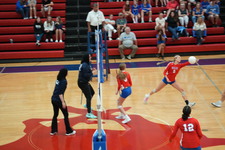 Enlarge photo 446