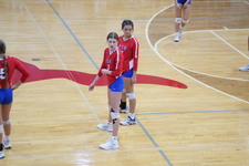 Enlarge photo 452