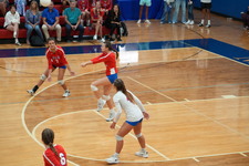 Enlarge photo 517