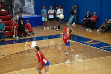 Enlarge photo 593