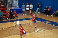 Enlarge photo 594