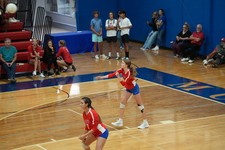 Enlarge photo 595