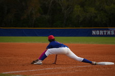 Enlarge photo 135